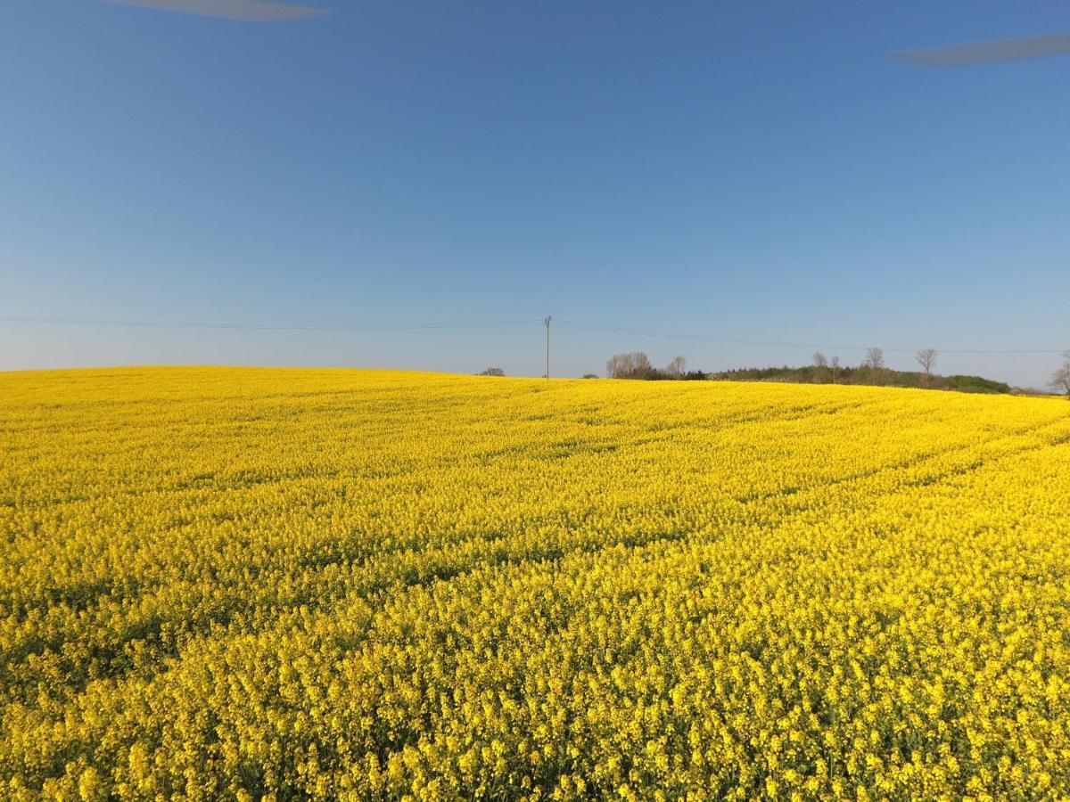 Rabenkirchen-FaulückSchleiblick App 5アパートメント エクステリア 写真